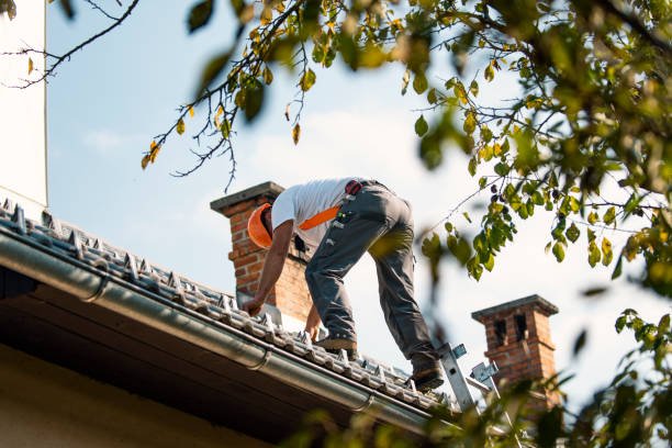 Best Chimney Flashing Repair  in Appomattox, VA